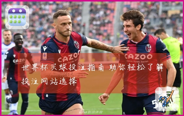 世界杯买球投注指南 助你轻松了解投注网站选择