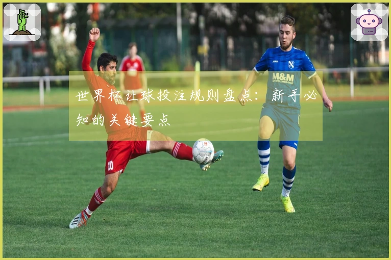 世界杯让球投注规则盘点：新手必知的关键要点