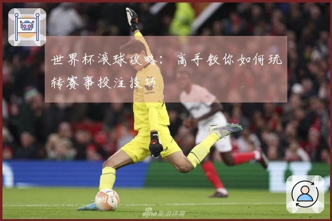 世界杯滚球攻略：高手教你如何玩转赛事投注技巧