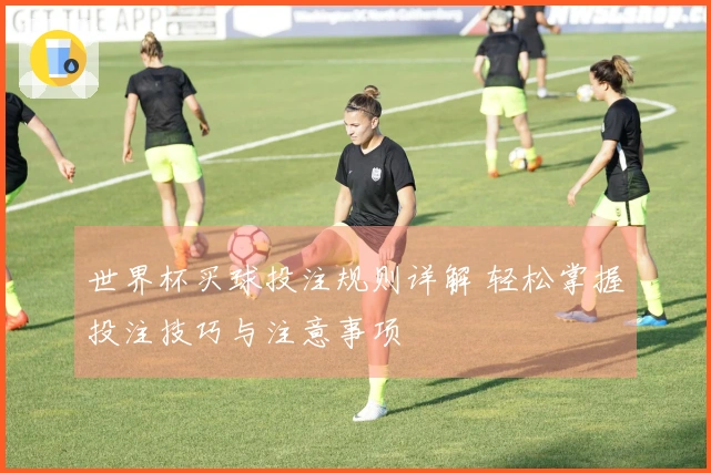 世界杯买球投注规则详解 轻松掌握投注技巧与注意事项
