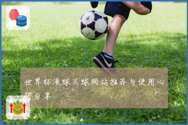 世界杯滚球买球网站推荐与使用心得分享