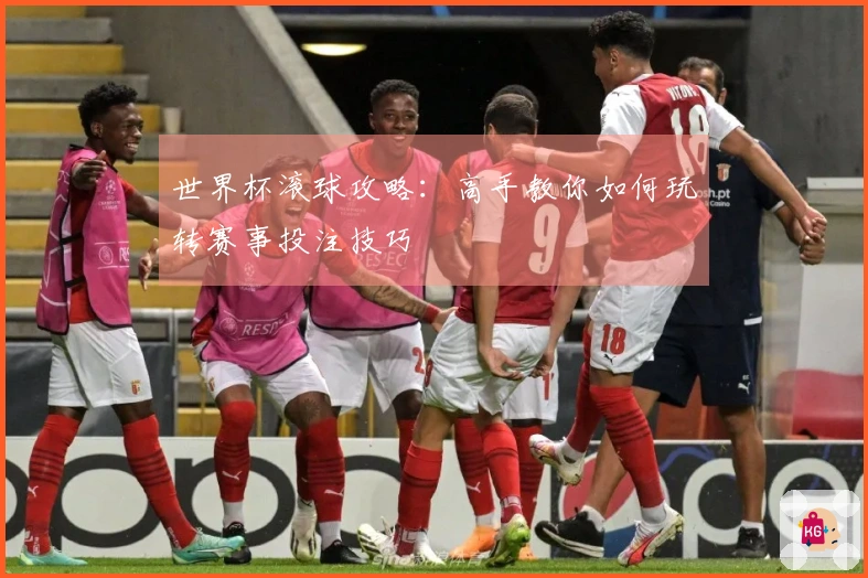 世界杯滚球攻略：高手教你如何玩转赛事投注技巧